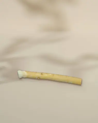 Siwak - Brosse à dents naturelle