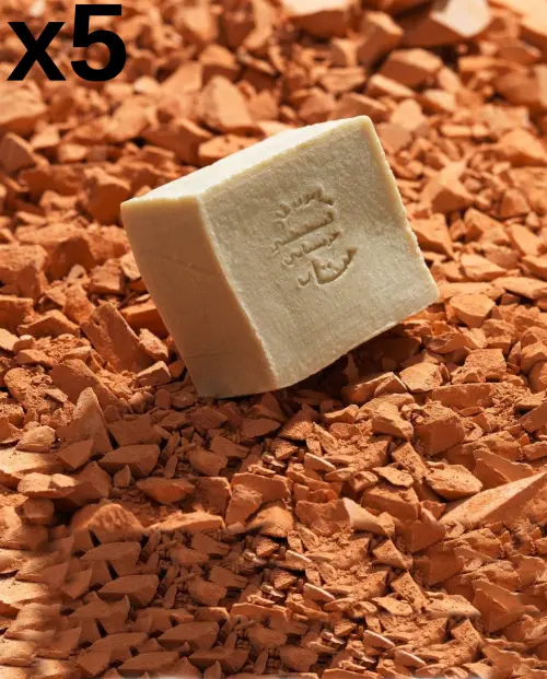 Savon Premium à l'huile d'argan in set van 5, beige kubusvormig brood gegraveerd op stukken terracotta