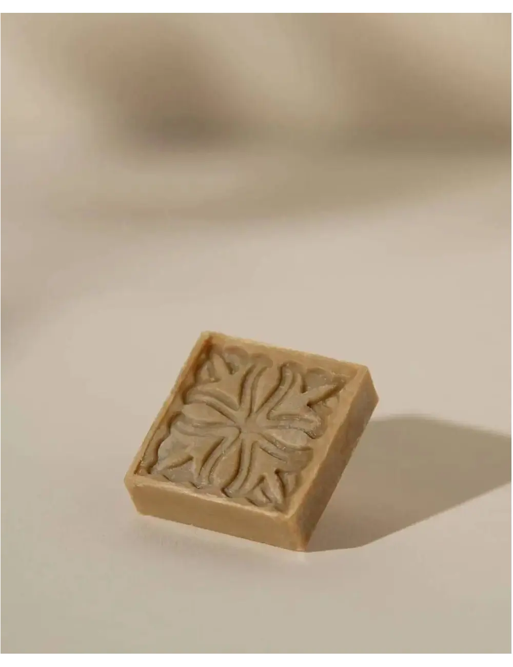 Guest's Aleppo Soap