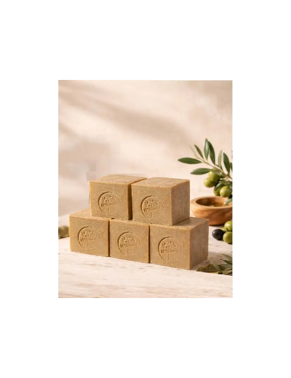 x5 Savon d'Alep 25% vrac FR