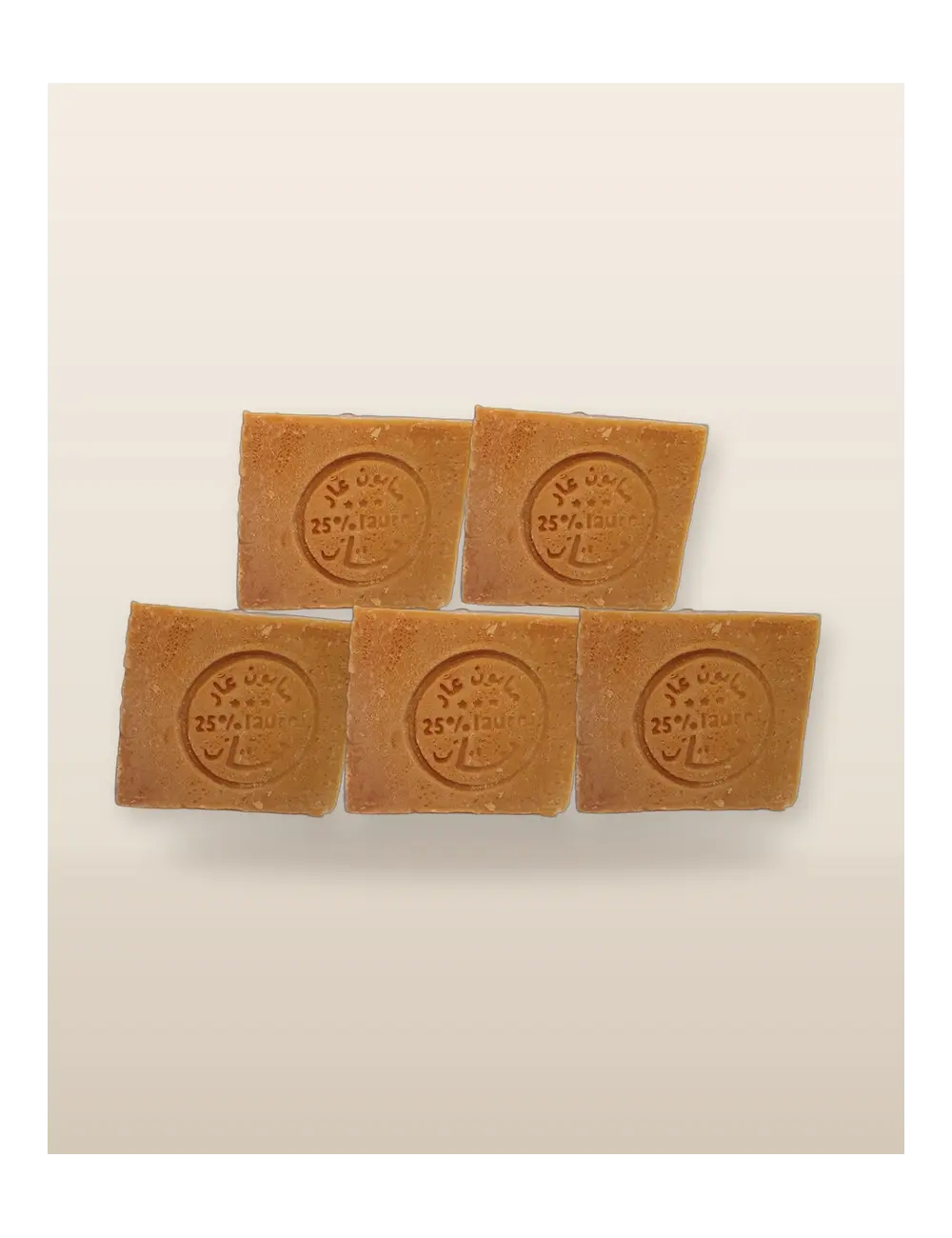 x5 Savon d'Alep 25% vrac FR